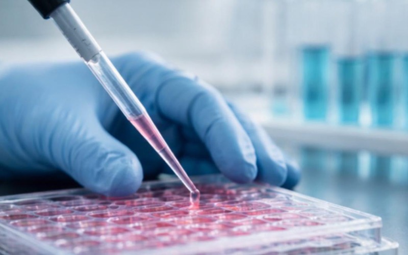 Healthcare & Life Sciences